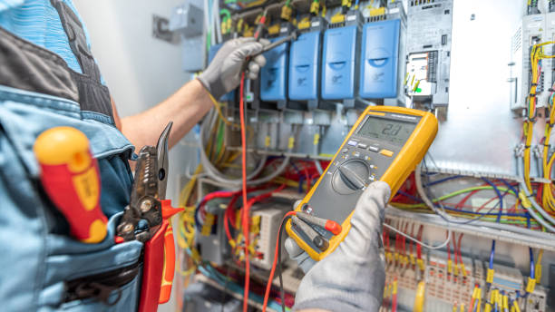 Best Electric Panel Repair  in Shelbina, MO